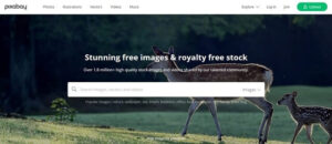 10 Best Royalty Free Images For Commercial Use Websites