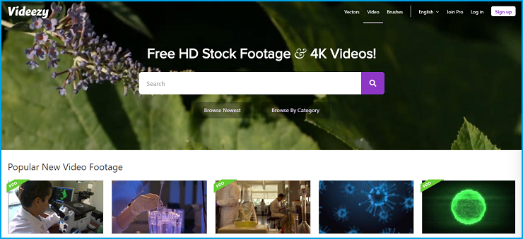 Best Stock Video Sites